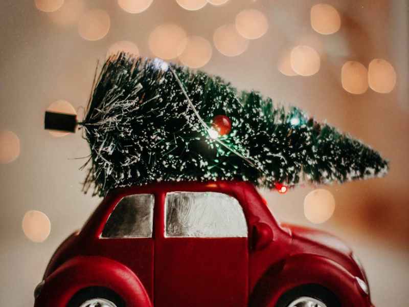 3 DAYS LEFT to Buy Your Holiday Luncheon&nbsp;Tickets!